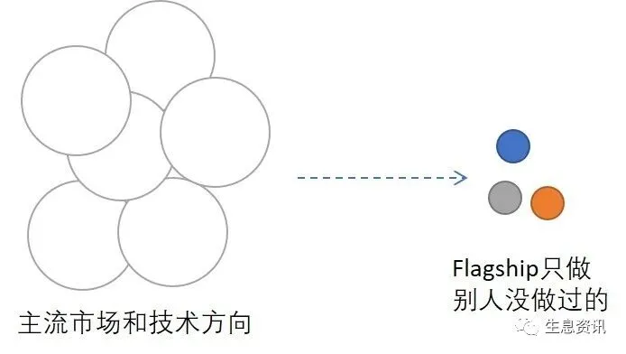 Flagship's differentiated positioning